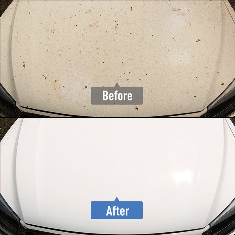 HGKJ 18 Car Paint Wheel Iron Powder Rust Remover